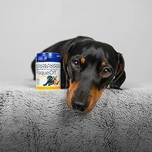 ProDen PlaqueOff Pó 60 gramas | Para cães e gatos pequenos | Mau hálito, placa, tártaro - PetDoctors - Loja Online