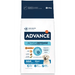 Ração para Cão Advance Dog Maxi Adult Chicken & Rice | 14 kg - PetDoctors - Loja Online