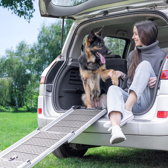 Rampa para Cães para Acesso a Carros - Rampa telescópica Extensivel para Cães Grandes - Estável, Antideslizante, 90 kg de Capacidade - Clip de fixação - PetDoctors - Loja Online