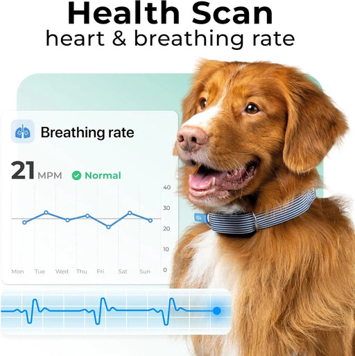 Rastreador de saúde e GPS para cães 1 - informação cardíaca e respiratória - localização em tempo real - análise de atividade e bem - estar - compacta, leve e fácil de instalar - PetDoctors - Loja Online