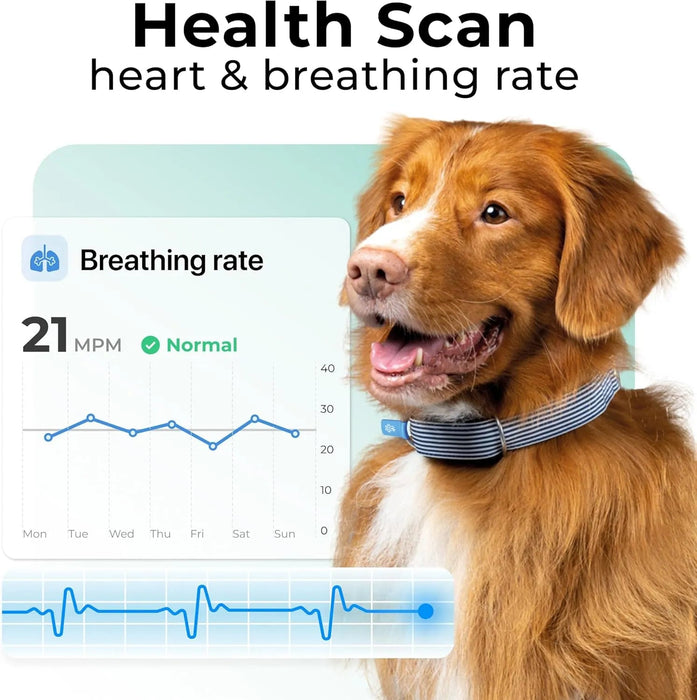Rastreador de saúde e GPS para cães 1 - informação cardíaca e respiratória - localização em tempo real - análise de atividade e bem - estar - compacta, leve e fácil de instalar - PetDoctors - Loja Online