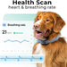 Rastreador de saúde e GPS para cães 1 - informação cardíaca e respiratória - localização em tempo real - análise de atividade e bem - estar - compacta, leve e fácil de instalar - PetDoctors - Loja Online