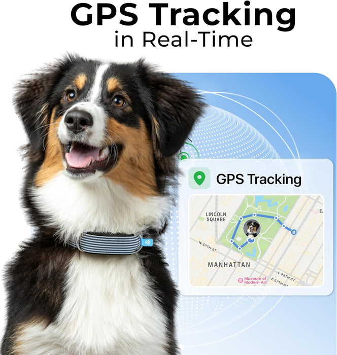 Rastreador de saúde e GPS para cães #1 - informação cardíaca e respiratória - localização em tempo real - análise de atividade e bem - estar - compacta, leve e fácil de instalar - PetDoctors - Loja Online