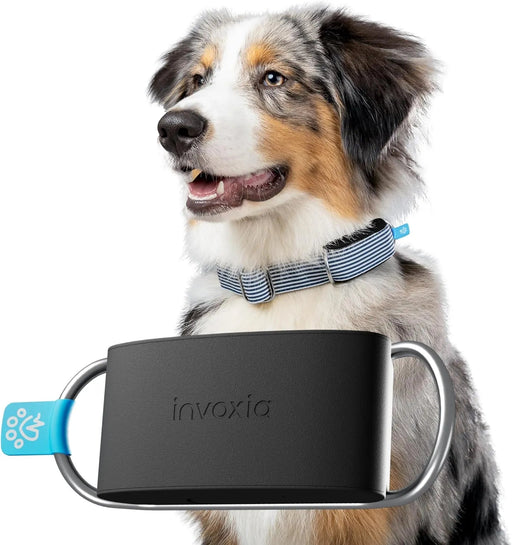 Rastreador de saúde e GPS para cães 1 - informação cardíaca e respiratória - localização em tempo real - análise de atividade e bem - estar - compacta, leve e fácil de instalar - PetDoctors - Loja Online