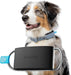 Rastreador de saúde e GPS para cães 1 - informação cardíaca e respiratória - localização em tempo real - análise de atividade e bem - estar - compacta, leve e fácil de instalar - PetDoctors - Loja Online