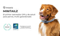 Rastreador de saúde e GPS para cães 1 - informação cardíaca e respiratória - localização em tempo real - análise de atividade e bem - estar - compacta, leve e fácil de instalar - PetDoctors - Loja Online