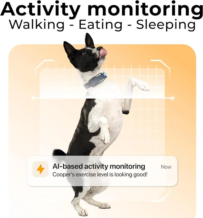 Rastreador de saúde e GPS para cães 1 - informação cardíaca e respiratória - localização em tempo real - análise de atividade e bem - estar - compacta, leve e fácil de instalar - PetDoctors - Loja Online