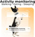 Rastreador de saúde e GPS para cães 1 - informação cardíaca e respiratória - localização em tempo real - análise de atividade e bem - estar - compacta, leve e fácil de instalar - PetDoctors - Loja Online