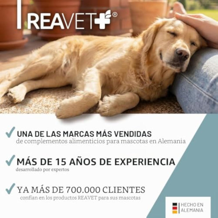 ReaVET Senior Complete 250 g | Suplemento para Cães Séniores - PetDoctors - Loja Online