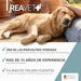 ReaVET Senior Complete 250 g | Suplemento para Cães Séniores - PetDoctors - Loja Online