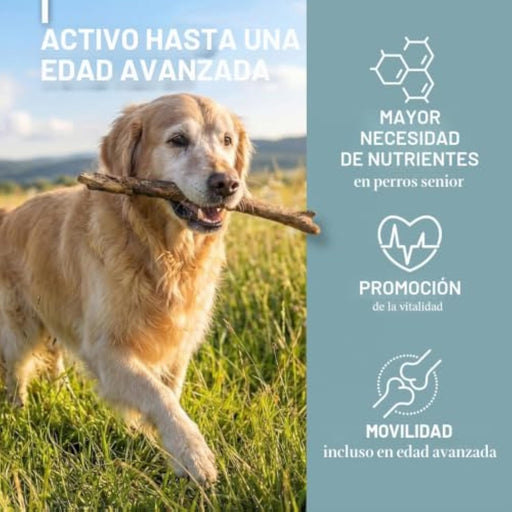 ReaVET Senior Complete 250 g | Suplemento para Cães Séniores - PetDoctors - Loja Online