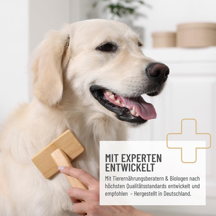 ReaVET Snacks com Ómega - 3 para cães I para uma pele saudável e pelagem brilhante I anti - comichão, queda de pelo, mudança de pelagem - com óleo de salmão, ácidos gordos e ómega - 3 I Guloseimas para cães sem cereais e sem açúcar - PetDoctors - Loja Online