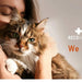 RECOACTIV Recovery renal para gatos, 1 x 280 ml, alimento dietético completo de alto teor calórico para disfunção renal e aumento das necessidades energéticas - PetDoctors - Loja Online