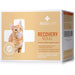 RECOACTIV Recovery renal para gatos, 1 x 280 ml, alimento dietético completo de alto teor calórico para disfunção renal e aumento das necessidades energéticas - PetDoctors - Loja Online