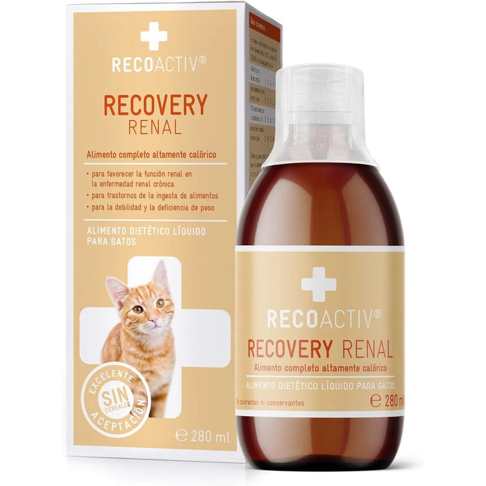 RECOACTIV Recovery renal para gatos, 1 x 280 ml, alimento dietético completo de alto teor calórico para disfunção renal e aumento das necessidades energéticas - PetDoctors - Loja Online