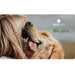 RECOACTIV Tónico imunitário para cães, 3 x 90 ml, suplemento dietético para apoio imunitário e prevenção dos sintomas de carência, eficaz estimulador dietético do apetite - PetDoctors - Loja Online