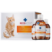 RECOACTIV Tónico renal para gatos, 3 x 90 ml, alimento complementar para convalescência em caso de sinais precoces de disfunção renal no gato, bem como para profilaxia - PetDoctors - Loja Online