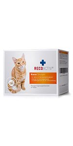 RECOACTIV Tónico renal para gatos, 3 x 90 ml, suplemento alimentar com aglutinante de fosfato para reduzir o conteúdo de fosfato na dieta em casos de insuficiência renal ou IRC - PetDoctors - Loja Online