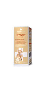 RECOACTIV Tónico renal para gatos, 3 x 90 ml, suplemento alimentar com aglutinante de fosfato para reduzir o conteúdo de fosfato na dieta em casos de insuficiência renal ou IRC - PetDoctors - Loja Online