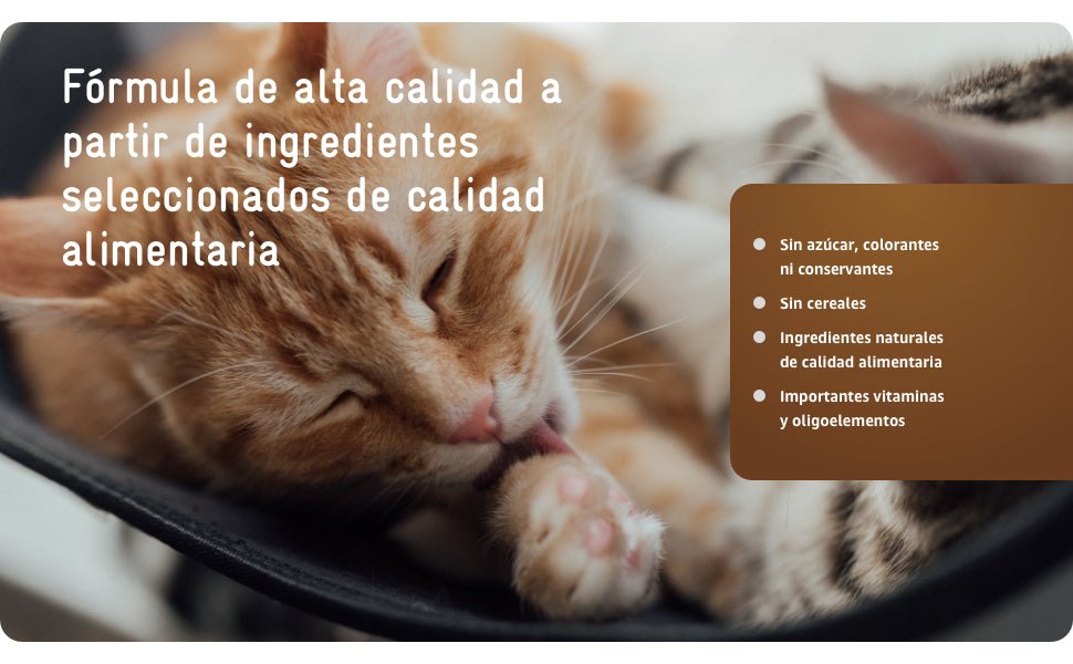 RECOACTIV Tónico renal para gatos, 3 x 90 ml, suplemento alimentar com aglutinante de fosfato para reduzir o conteúdo de fosfato na dieta em casos de insuficiência renal ou IRC - PetDoctors - Loja Online