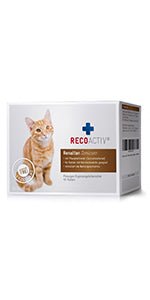 RECOACTIV Tónico renal para gatos, 3 x 90 ml, suplemento alimentar com aglutinante de fosfato para reduzir o conteúdo de fosfato na dieta em casos de insuficiência renal ou IRC - PetDoctors - Loja Online