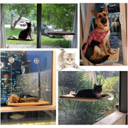 Rede para gatos, para banhos de sol, para janela, suporta até 15 kg - PetDoctors - Loja Online