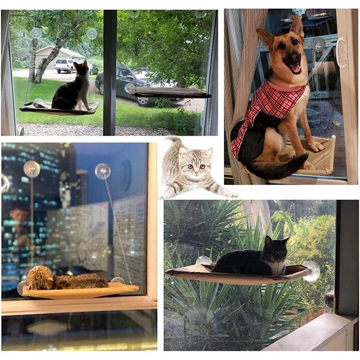 Rede para gatos, para banhos de sol, para janela, suporta até 15 kg - PetDoctors - Loja Online
