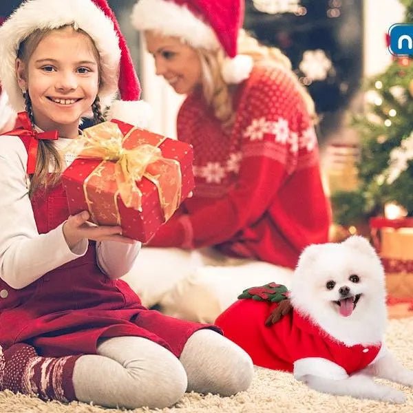 Roupa natalícia para cão / Casaco com capuz para cão - PetDoctors - Loja Online