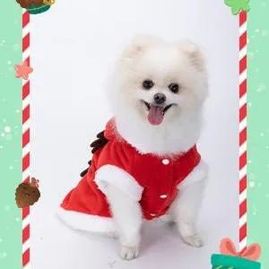 Roupa natalícia para cão / Casaco com capuz para cão - PetDoctors - Loja Online