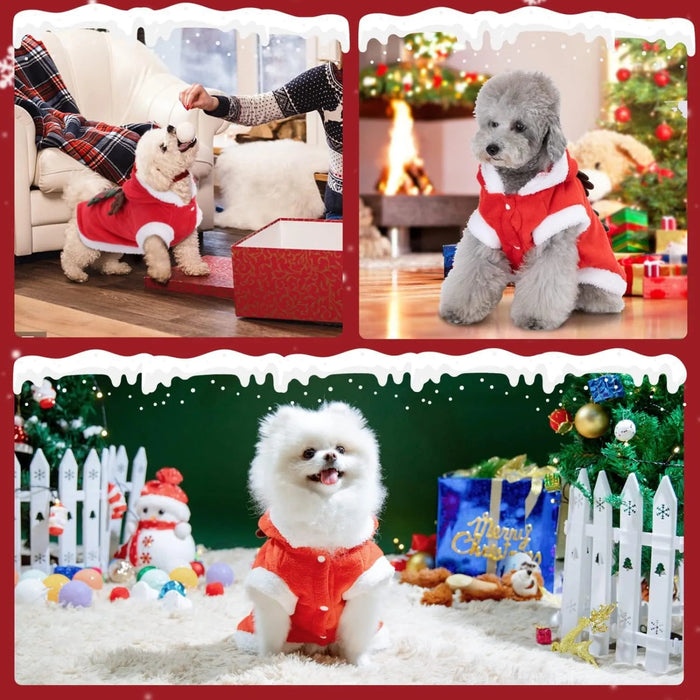 Roupa natalícia para cão / Casaco com capuz para cão - PetDoctors - Loja Online