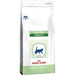 Royal Canin Cat Pediatric Growth - PetDoctors - Loja Online