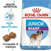 Royal Canin Junior Giant Dog (15 Kg) - PetDoctors - Loja Online