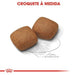 Royal Canin Junior Giant Dog (15 Kg) - PetDoctors - Loja Online