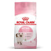 Royal Canin Kitten - PetDoctors - Loja Online
