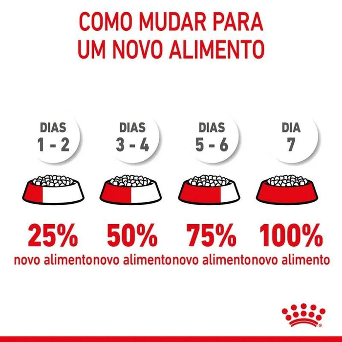 Royal Canin Kitten - PetDoctors - Loja Online