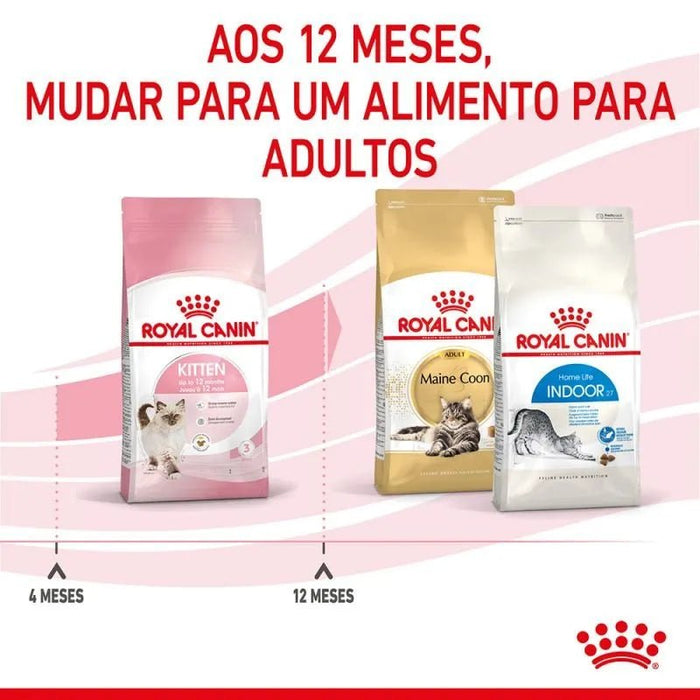 Royal Canin Kitten - PetDoctors - Loja Online