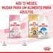 Royal Canin Kitten - PetDoctors - Loja Online