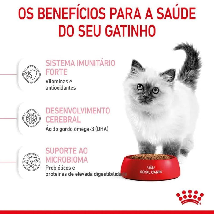 Royal Canin Kitten - PetDoctors - Loja Online