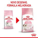 Royal Canin Kitten - PetDoctors - Loja Online