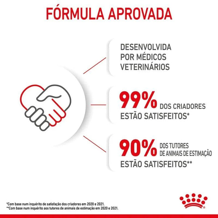 Royal Canin Kitten - PetDoctors - Loja Online
