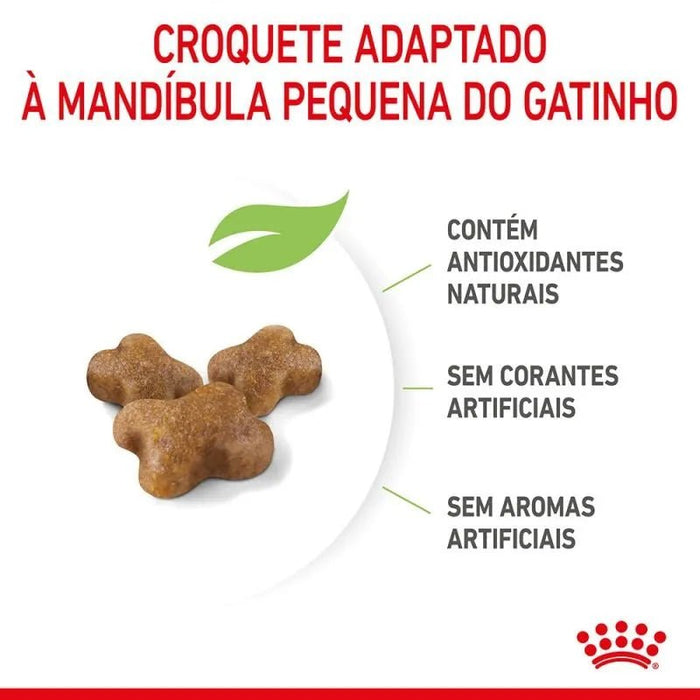 Royal Canin Kitten - PetDoctors - Loja Online