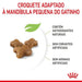 Royal Canin Kitten - PetDoctors - Loja Online