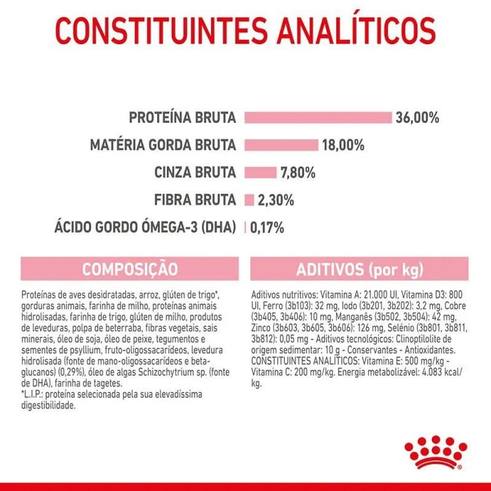 Royal Canin Kitten - PetDoctors - Loja Online