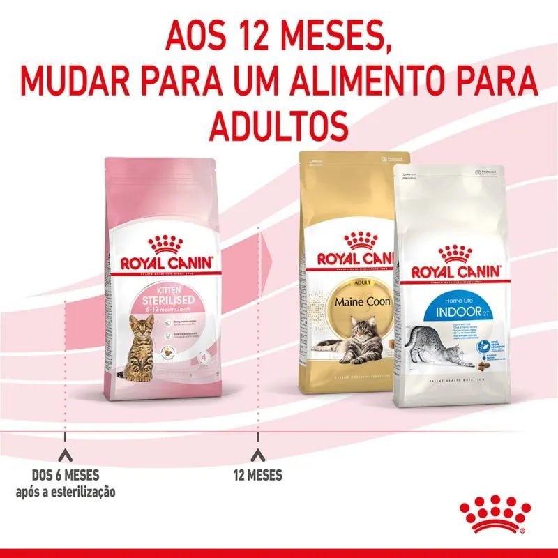 Royal Canin Kitten Sterilised - PetDoctors - Loja Online