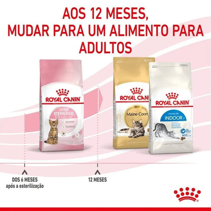 Royal Canin Kitten Sterilised - PetDoctors - Loja Online