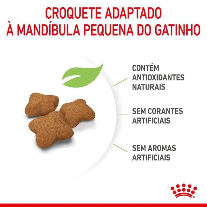 Royal Canin Kitten Sterilised - PetDoctors - Loja Online