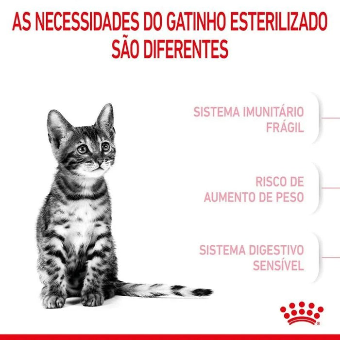 Royal Canin Kitten Sterilised - PetDoctors - Loja Online