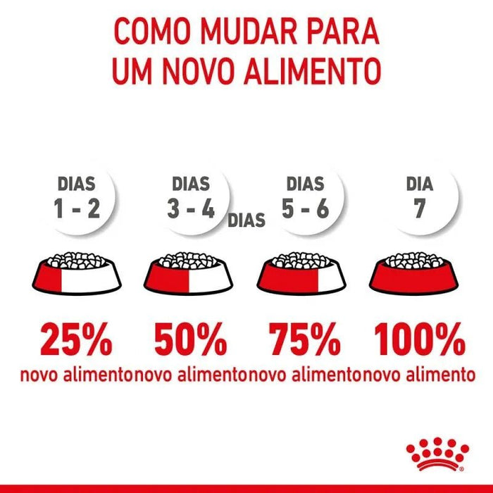 Royal Canin Kitten Sterilised - PetDoctors - Loja Online