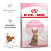 Royal Canin Kitten Sterilised - PetDoctors - Loja Online