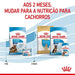 Royal Canin Maxi Starter Mother & Babydog - PetDoctors - Loja Online